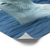 Polar Bears spielen in Poster des Artischen Ozeans (Ecke)