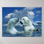 Polar Bears spielen in Poster des Artischen Ozeans (Vorne)