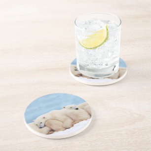 Polar Bears Stone Untersetzer