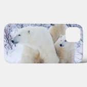 Polar Bears und zwei Naben Case-Mate iPhone Hülle (Rückseite (Horizontal))
