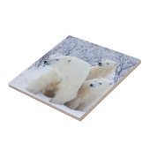 Polar Bears und zwei Naben Fliese (Seite)