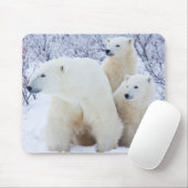 Polar Bears und zwei Naben Mousepad (Mit Mouse)