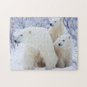 Polar Bears und zwei Naben Puzzle (Horizontal)