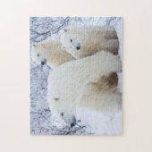 Polar Bears und zwei Naben Puzzle (Vertikal)