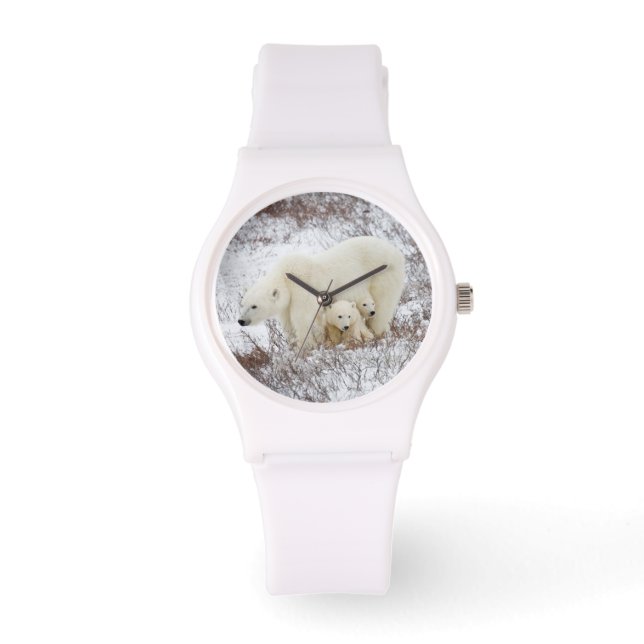 Polar Bears weiblich und zwei Jungen Armbanduhr (Vorderseite)
