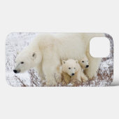 Polar Bears weiblich und zwei Jungen Case-Mate iPhone Hülle (Rückseite (Horizontal))