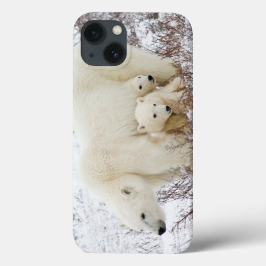 Polar Bears weiblich und zwei Jungen Case-Mate iPhone Hülle (Rückseite)