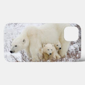 Polar Bears weiblich und zwei Jungen Case-Mate iPhone Hülle (Rückseite (Horizontal))
