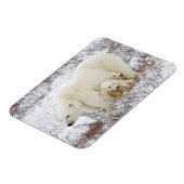 Polar Bears weiblich und zwei Jungen Magnet (Linke Seite)