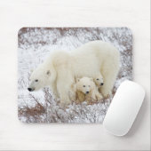 Polar Bears weiblich und zwei Jungen Mousepad (Mit Mouse)