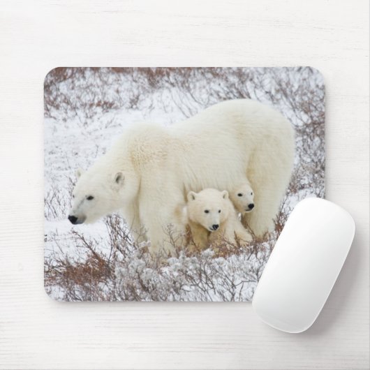 Polar Bears weiblich und zwei Jungen Mousepad (Mit Mouse)