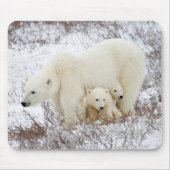 Polar Bears weiblich und zwei Jungen Mousepad (Vorne)