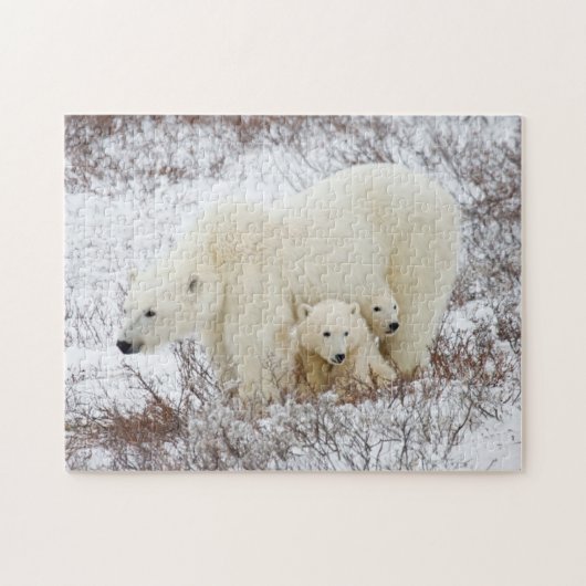 Polar Bears weiblich und zwei Jungen Puzzle (Horizontal)