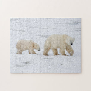 Polar Bears weiblich und zwei Jungen Puzzle