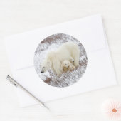 Polar Bears weiblich und zwei Jungen Runder Aufkleber (Umschlag)