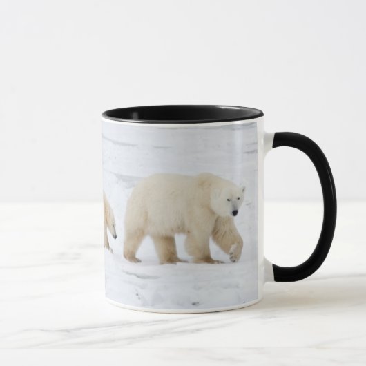 Polar Bears weiblich und zwei Jungen Tasse (Rechts)