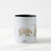 Polar Bears weiblich und zwei Jungen Tasse (Zentrum)