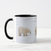 Polar Bears weiblich und zwei Jungen Tasse (Links)