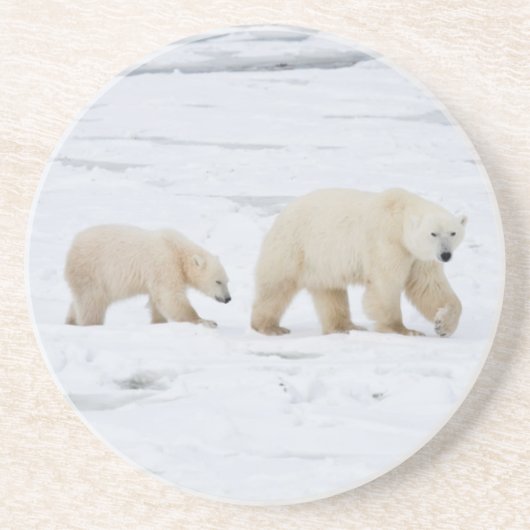 Polar Bears weiblich und zwei Jungen Untersetzer (Vorne)