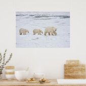 Polar Bears weiblich und zwei Knochen 2 Poster (Küche)