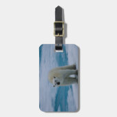 Polar betreffen Sie Packeis Gepäckanhänger (Vorderseite vertikal)