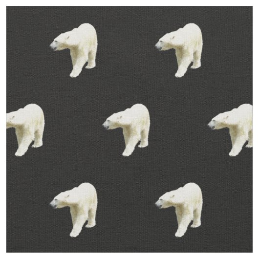 Polar betrifft Schwarzes Stoff (Nahaufnahme)