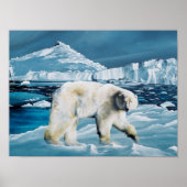 Polar-Eisbär Poster (Vorne)