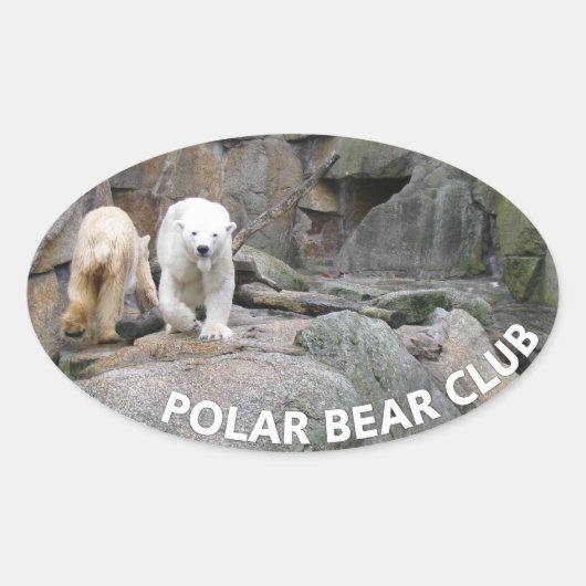 POLAR-KARTENkleber Ovaler Aufkleber (Vorderseite)