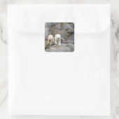 POLAR-KARTENkleber Quadratischer Aufkleber (Tasche)