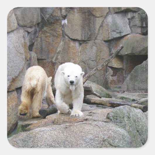 POLAR-KARTENkleber Quadratischer Aufkleber (Vorderseite)