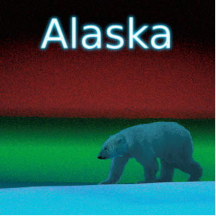 Polar Lights Polar Bear - Alaska Fotoskulptur Magnet