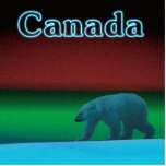 Polar Lights Polar Bear - Kanada Fotoskulptur Magnet<br><div class="desc">Ein Eisbär wandert in der langen Polarnacht durch das Eis; die Nordlichter in rot und grün leuchten in der Ferne. Text mit "Kanada" erscheint in leuchtendem Blau. Eisbären sind stark gefährdet. Wie lange werden solche Szenen noch stattfinden können? Helfen Sie bitte,  Polarbären vom Aussterben retten.</div>