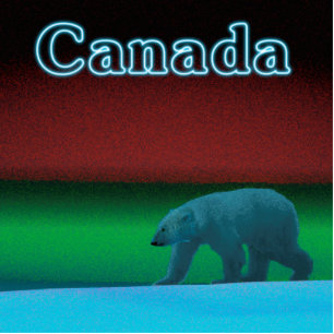 Polar Lights Polar Bear - Kanada Fotoskulptur Magnet