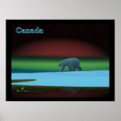 Polar Lights Polar Bear Poster (Vorne)