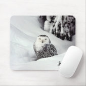 Polar Owl Themed Mouse Pad Mousepad (Mit Mouse)