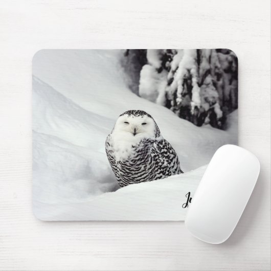 Polar Owl Themed Mouse Pad Mousepad (Mit Mouse)