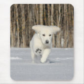 Polar Puppy Foto Mousepad (Vorne)