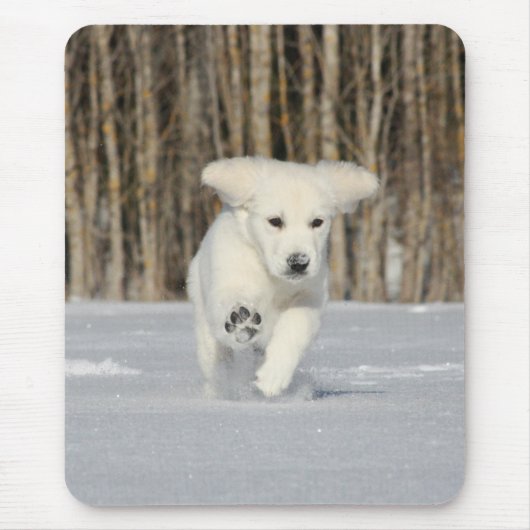 Polar Puppy Foto Mousepad (Vorne)