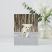 Polar Puppy Postkarte (Stehend Vorderseite)