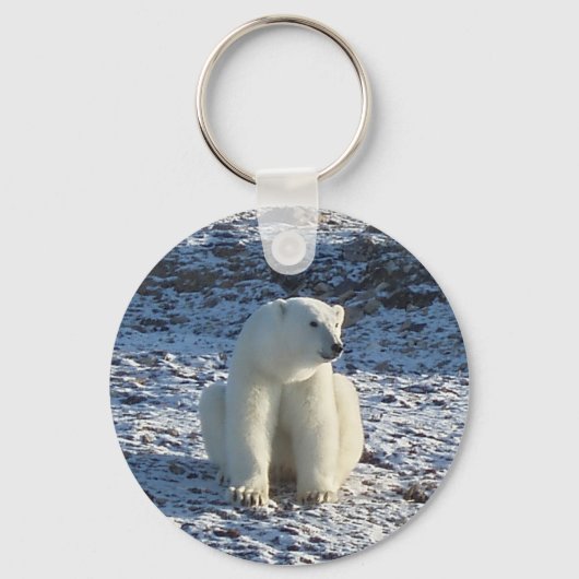 Polar Schlüsselanhänger (Vorderseite)