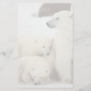 Polar She-Bären with Cubs