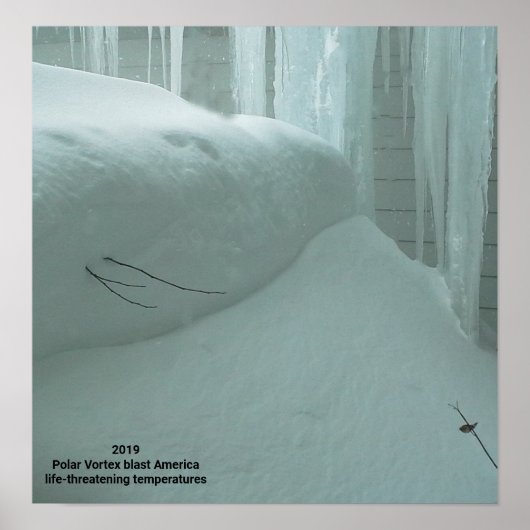 POLAR VORTEX HITS AMERICA 2019 POSTER (Vorne)