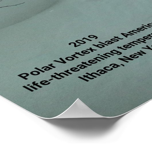 POLAR VORTEX HITS ITHACA NEW YORK 2019 POSTER (Ecke)