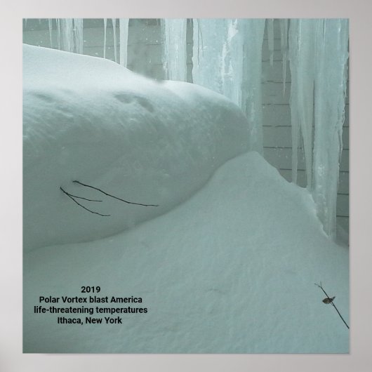 POLAR VORTEX HITS ITHACA NEW YORK 2019 POSTER (Vorne)