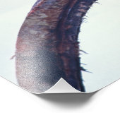 Polarbär auf einem Kieferknochen, Fotodruck (Ecke)