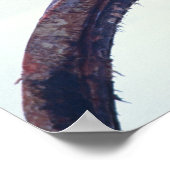 Polarbär auf einem Kieferknochen, Poster (Ecke)