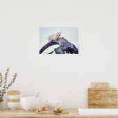 Polarbär auf einem Kieferknochen, Poster (Küche)