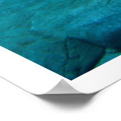 Polarbär im Wasser Poster (Ecke)