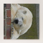 Polarbär Puzzle (Horizontal)