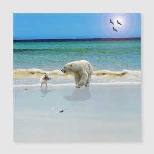 Polarbär trifft Jack Russell, Magnetkarte